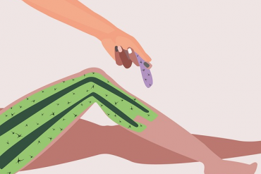 Le traitement des douleurs au CBD